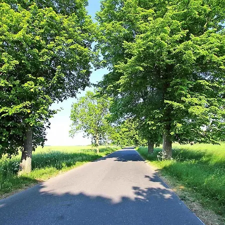 Ferienwohnung Altenkirchen Rueg 22 阿尔滕基兴